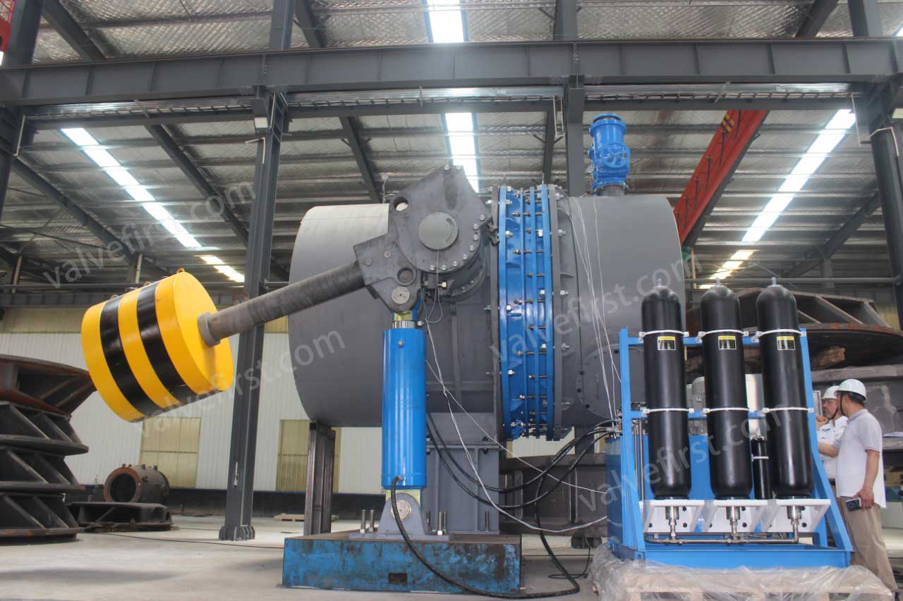 Counterweight Hydraulic Check BV(pic1)